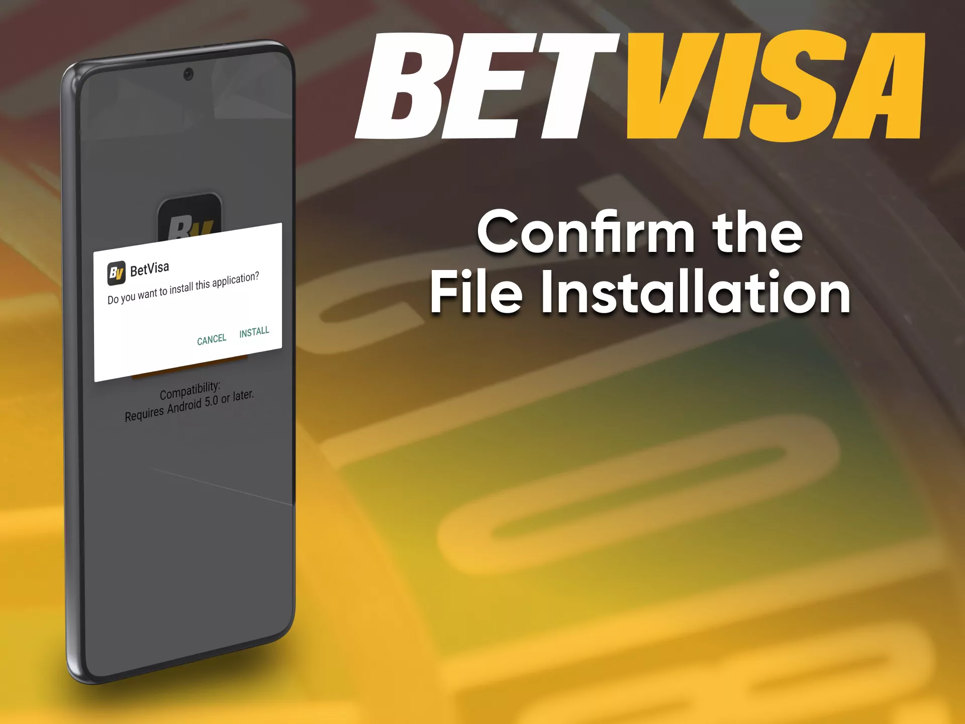 Complete the installation and launch the application from BetVisa.