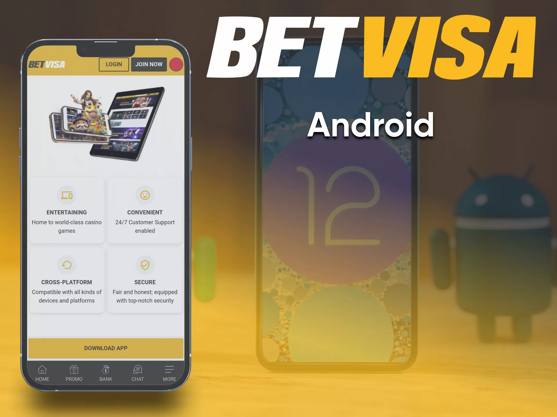 Install the application from BetVisa on your smartphone.