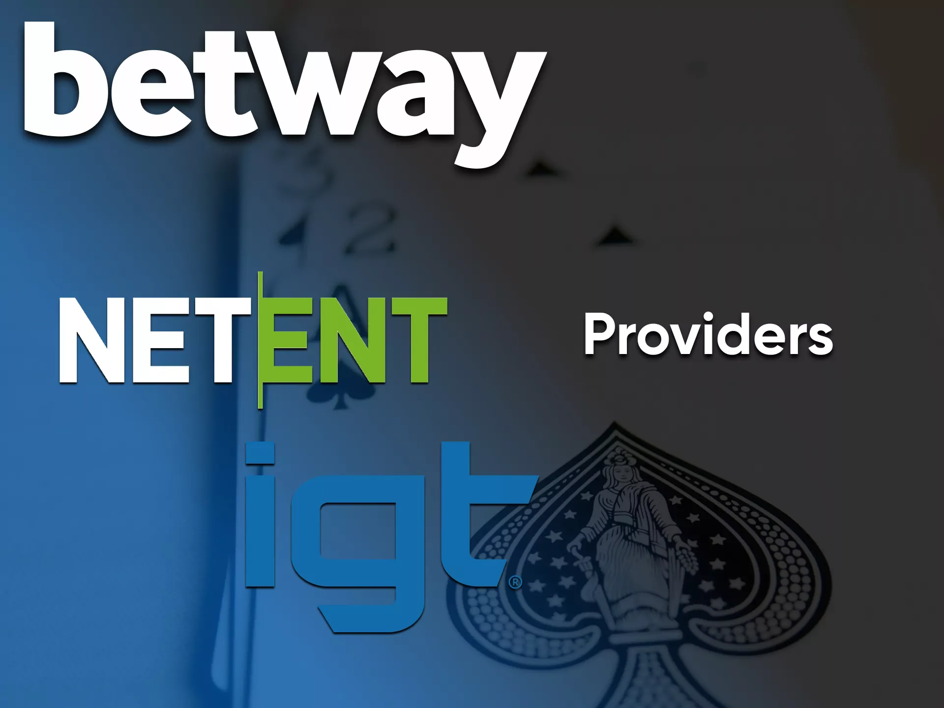 Choose the best provider for the Betway casino game.