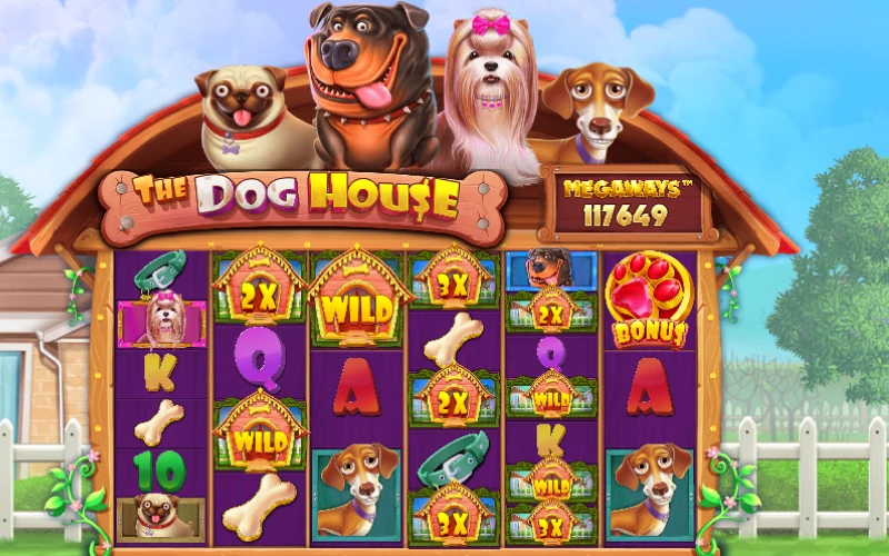 Play an exciting game Dog House Megaways with Megapari.