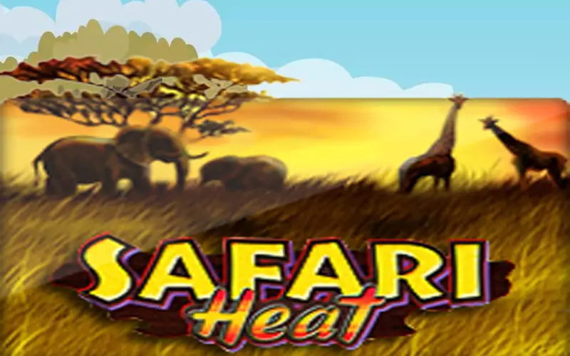 Try Safari Heat by Crickex on your iOS or Android device.