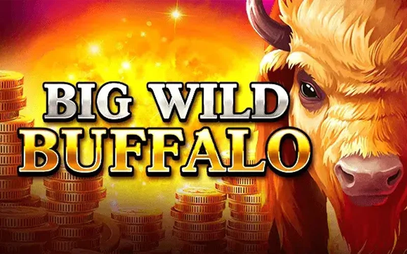 Big Wild Buffalo slot can bring you up to x5,000 bets.