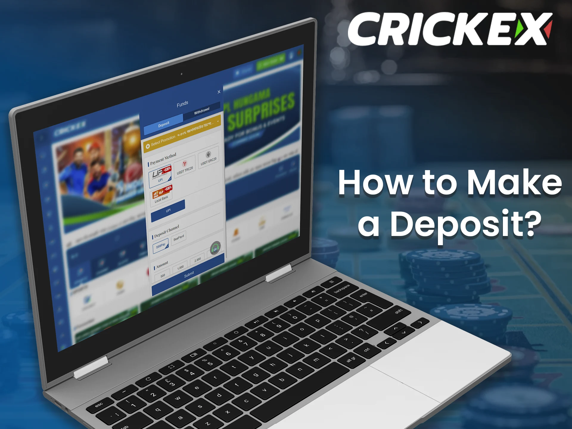 Follow these steps to add money to your Crickex account.